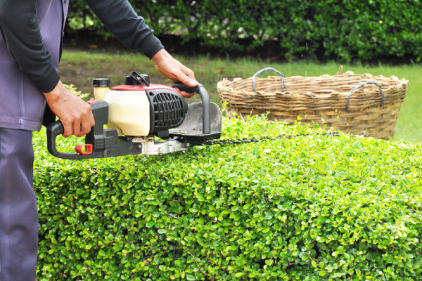 Landscape-Maintenance2